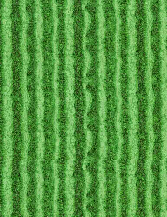 Fresh Fruit Collection Green Watermelon Texture Stripes, Timeless Treasures C1138