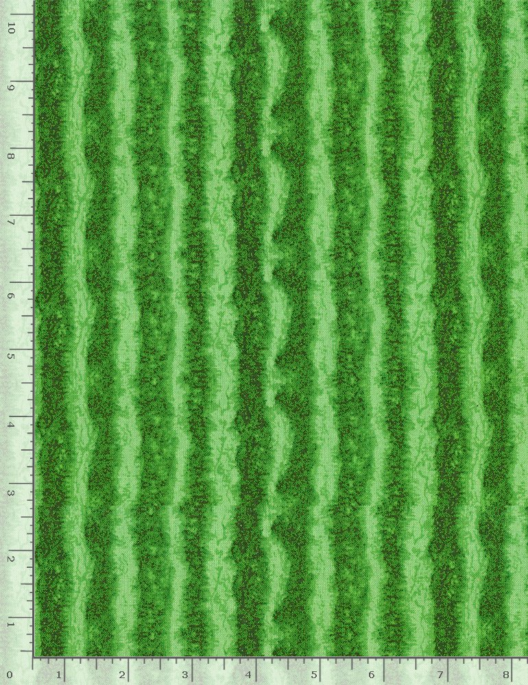 Fresh Fruit Collection Green Watermelon Texture Stripes, Timeless Treasures C1138