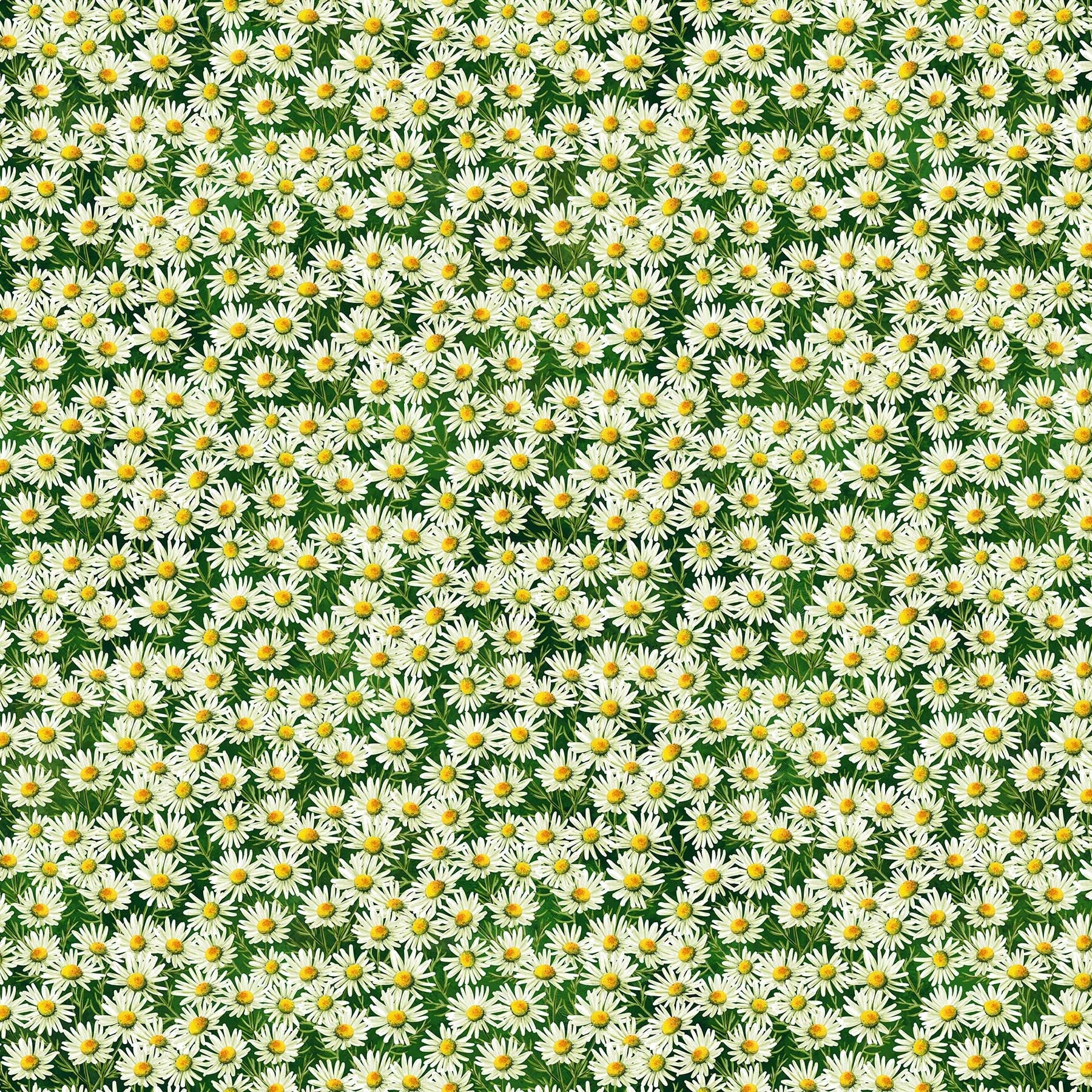 Angels Neverland fabric bundle Sunshine Harvest 1 yard Fall Fabric Bundle Cut & Curated by Angels Neverland