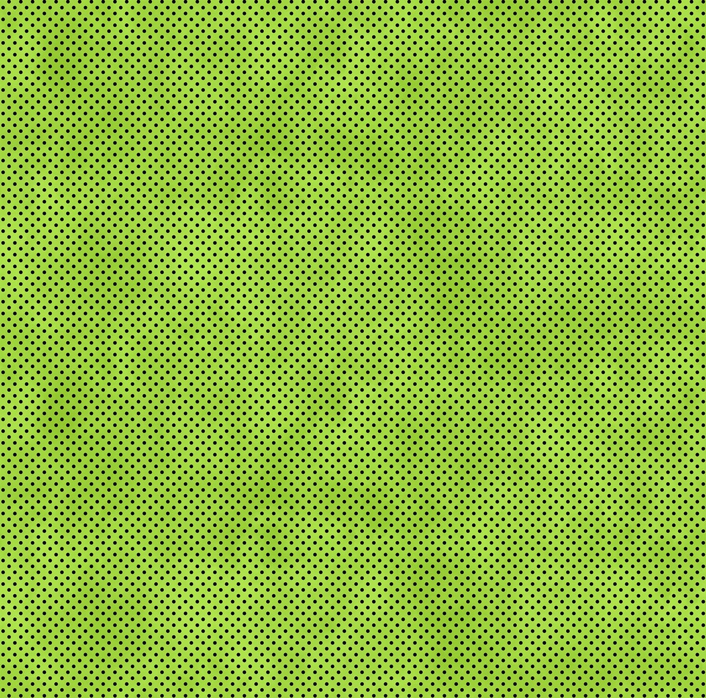 Toadally Cool Glow in the Dark Frog Beginner Quilt Kit - Puppy Love Pattern - Villa Rosa