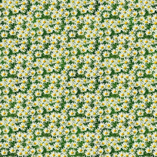 Northcott Fabric by the Yard FQ (18" x 21") Sunshine Harvest Daisies on Green Floral Cotton 25458-78