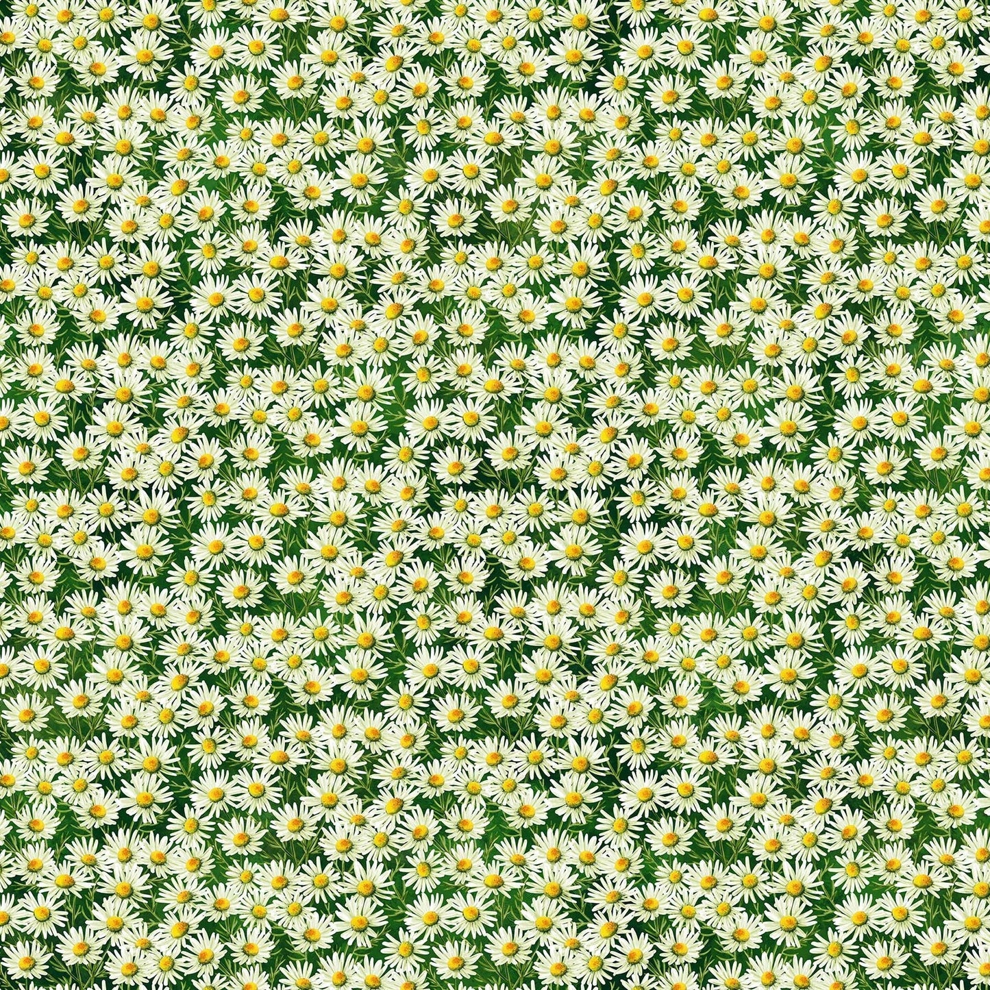 Northcott Fabric by the Yard FQ (18" x 21") Sunshine Harvest Daisies on Green Floral Cotton 25458-78