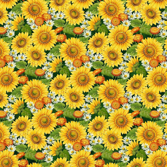 Northcott Fabric by the Yard Sunshine Harvest Tossed Pumpkins and Sunflowers on a white background Floral Cotton 25457-10