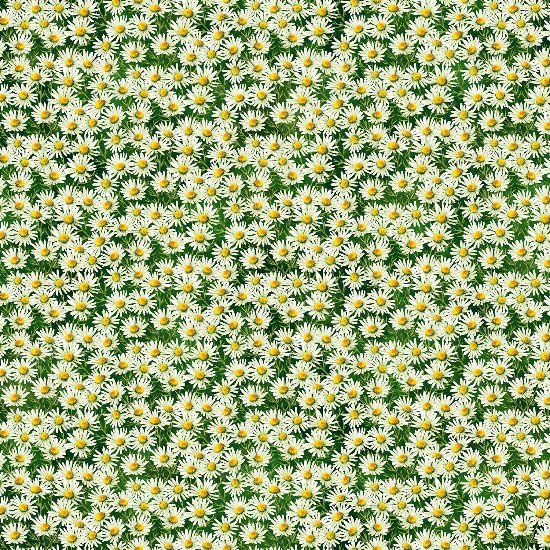 Northcott Fabric Panel Sunshine Harvest Packed Sunflower Floral Cotton 25456-78