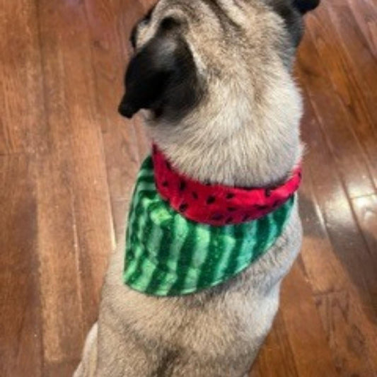 Angels Neverland Animals & Pet Supplies Small Watermelon Dog bandana with tie close, designer cotton Watermelon Fabric