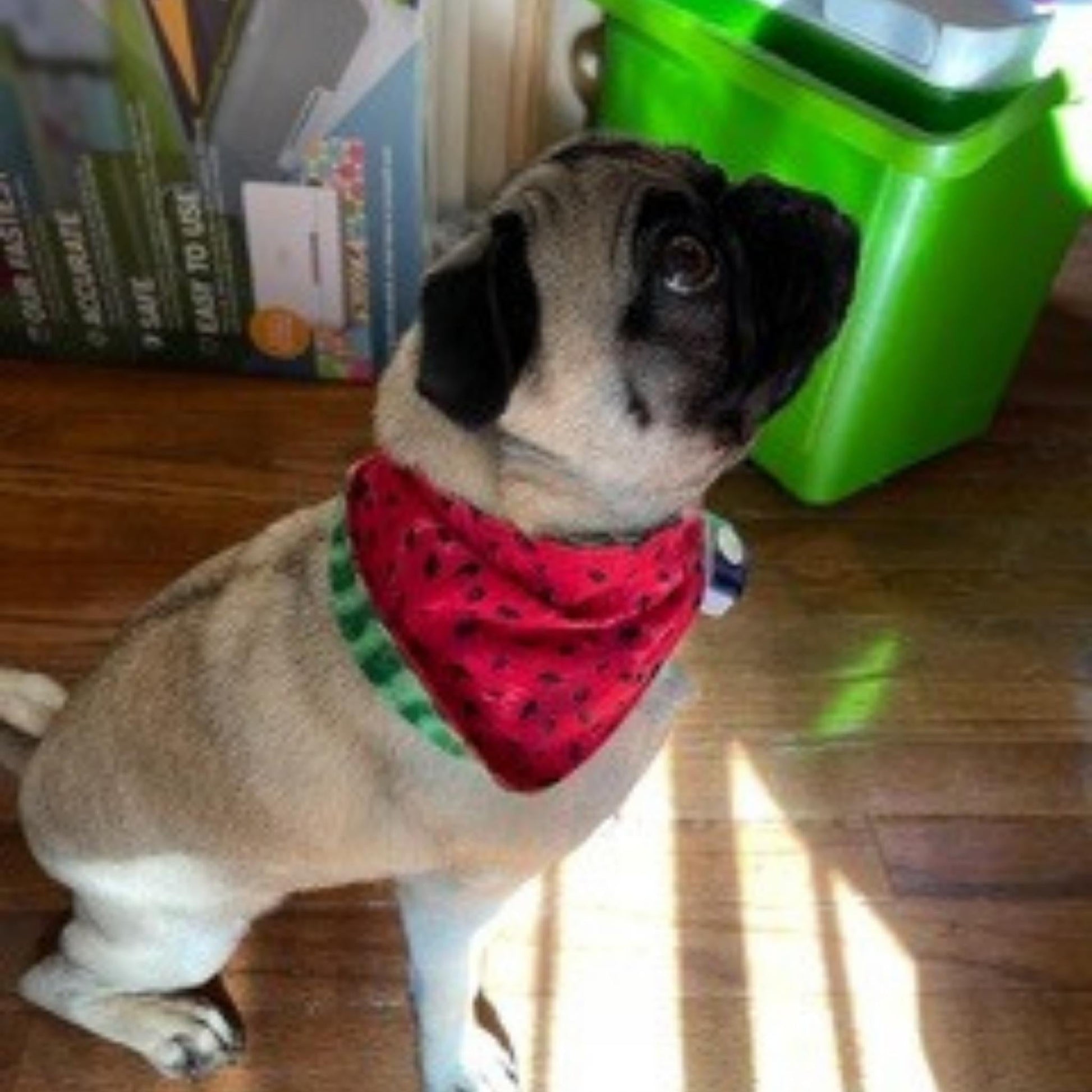 Angels Neverland Animals & Pet Supplies Watermelon Dog bandana with tie close, designer cotton Watermelon Fabric