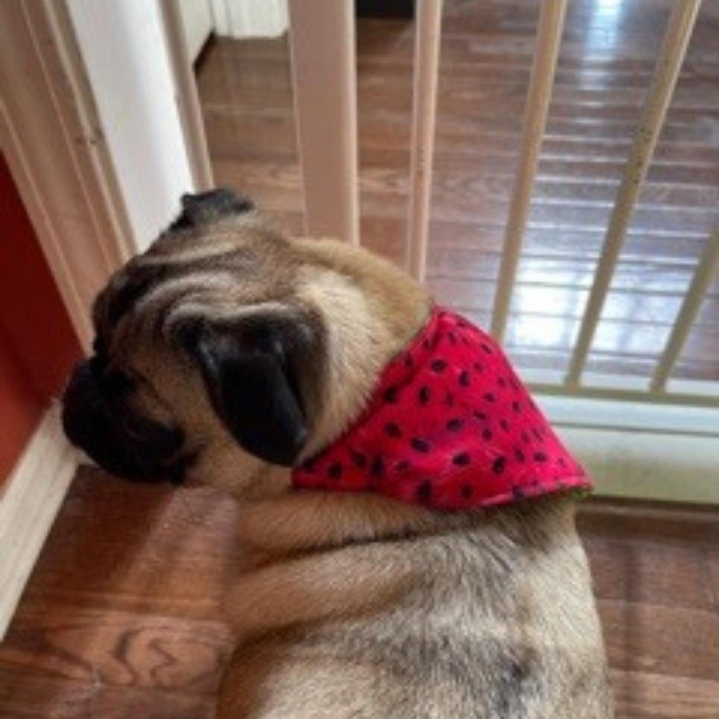 Angels Neverland Animals & Pet Supplies Watermelon Dog bandana with tie close, designer cotton Watermelon Fabric