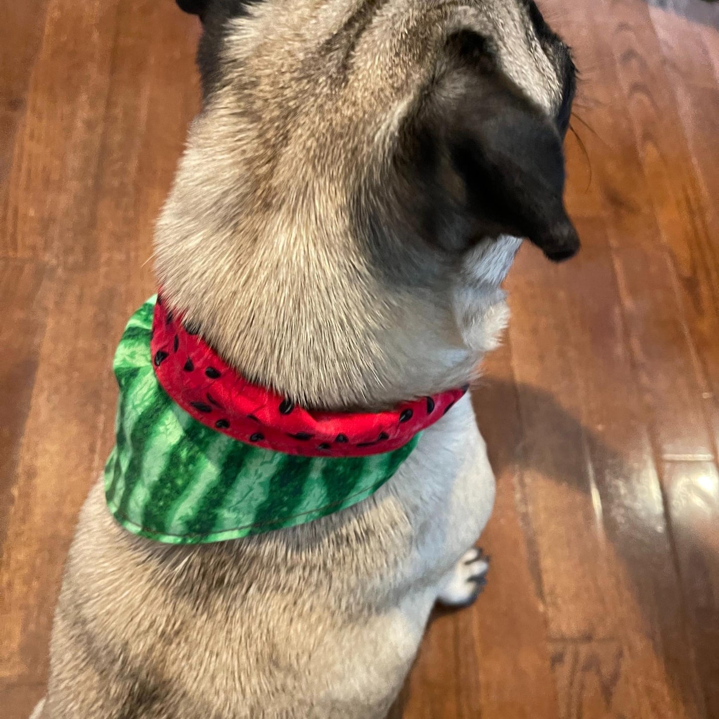 Angels Neverland Animals & Pet Supplies Watermelon Dog bandana with tie close, designer cotton Watermelon Fabric