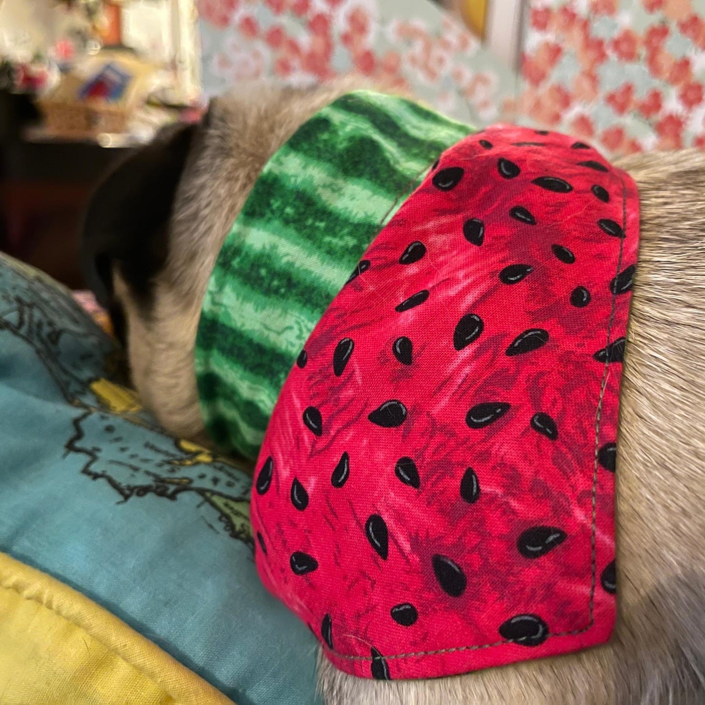 Angels Neverland Animals & Pet Supplies Watermelon Dog bandana with tie close, designer cotton Watermelon Fabric