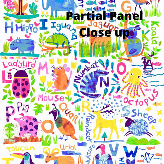 Clothworks Quilt Kit Alphabet Animal Magic Panel Quilt by Tracy English by Clothworks Beginner Nursery QUILT KIT