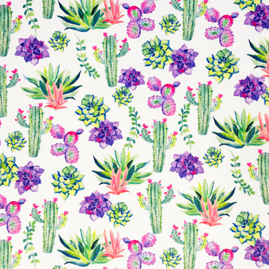 Shannon Fabrics Fabric Prickle Basil Cactus Cuddle Minky by Shannon Fabrics