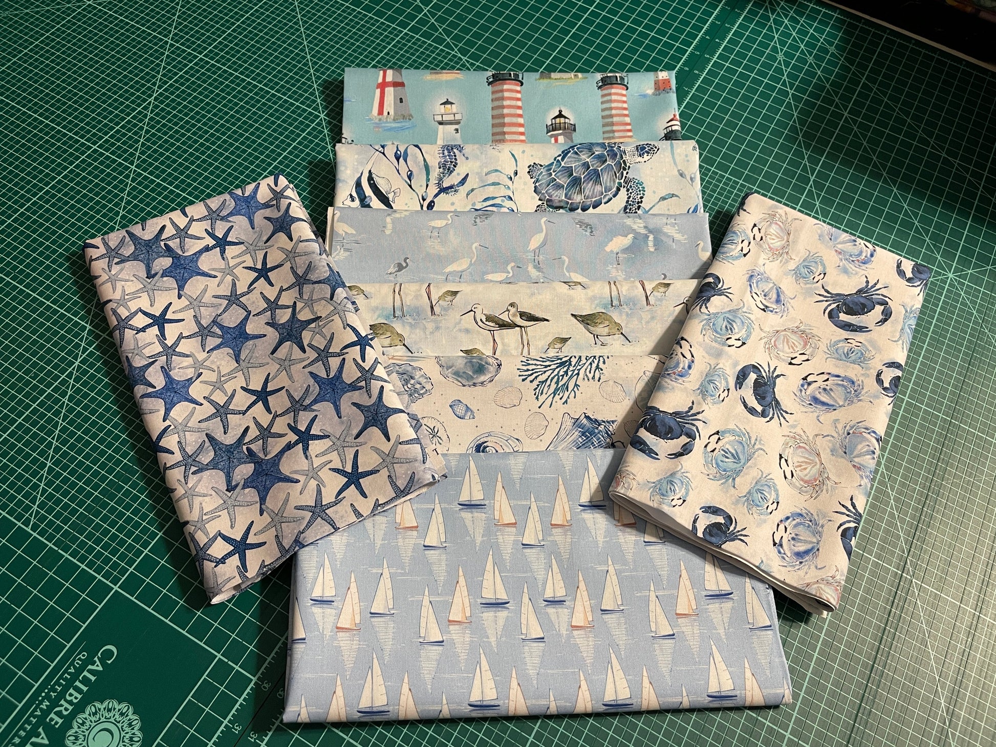 Timeless Treasures Fabric Bundle Thomas Little Ocean Blue Beach Fabric & Nautical Fabric FQ Bundle with Beach Dreams Panel (8 FQ pieces and 1 panel)