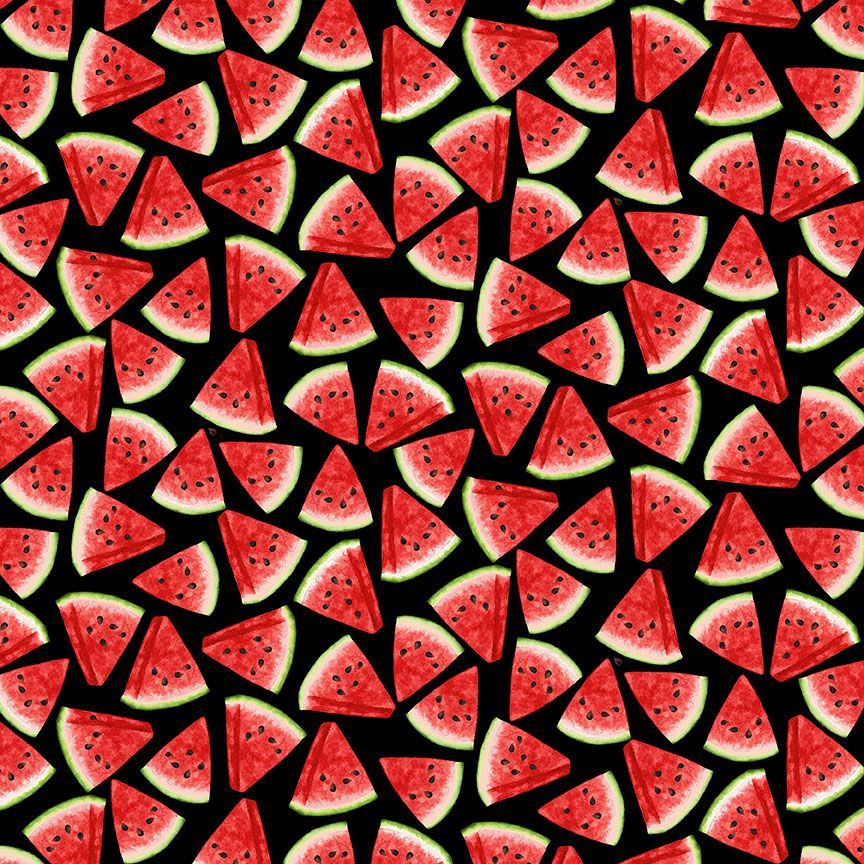Timeless Treasures Quilt Kit Kit TOP/Binding ONLY Beginner Gnome Quilt Kit Timeless Treasures Watermelon Party with Picture This Pattern