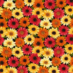 Autumn Glory Turkeys & Sunflowers – 3 Yard Quilt Fabric Bundle | Angels Neverland Exclusive
