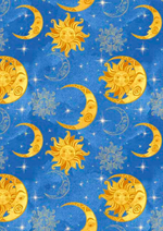 Celestial & Cosmos Panel Beginner Quilt Kit w/ Picture This Pattern