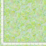 Dragonfly Mist On Key Beginner Quilt Kit
