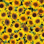 Advice From a Sunflower - ON KEY Beginner Quilt Kit