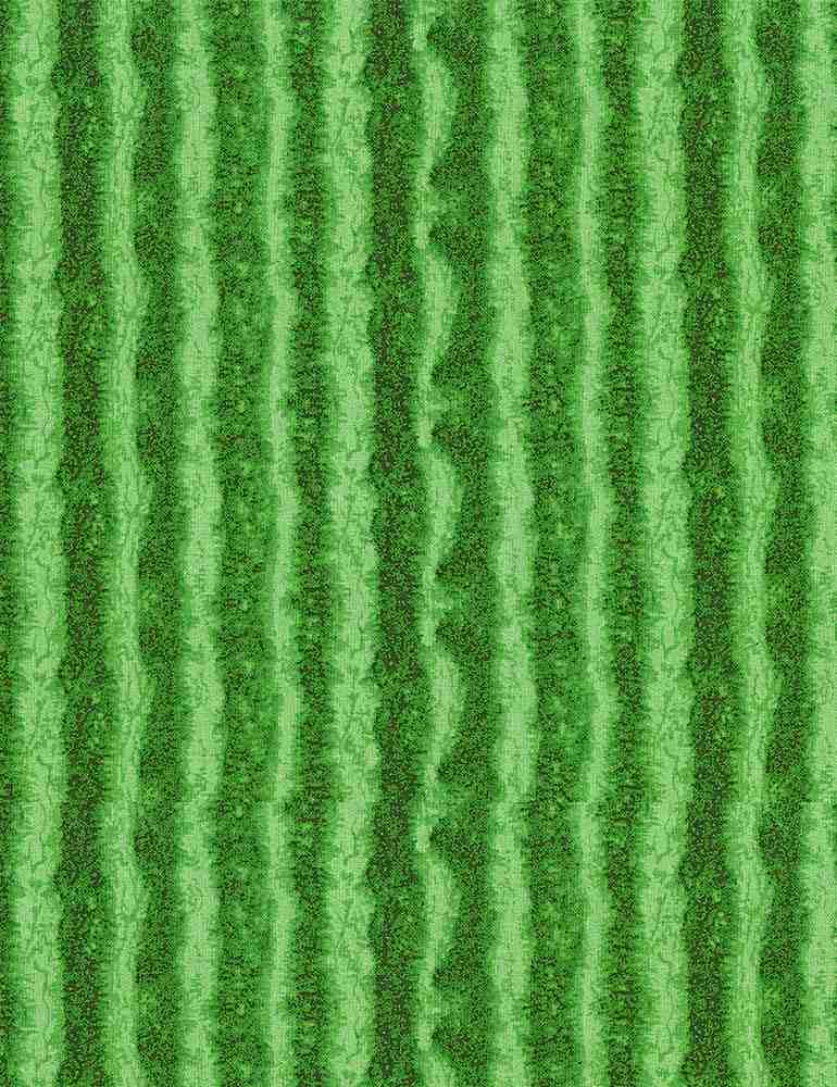 Fresh Fruit Collection Green Watermelon Texture Stripes, Timeless Treasures C1138