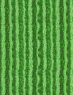 Fresh Fruit Collection Green Watermelon Texture Stripes, Timeless Treasures C1138