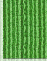 Fresh Fruit Collection Green Watermelon Texture Stripes, Timeless Treasures C1138
