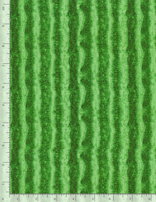 Fresh Fruit Collection Green Watermelon Texture Stripes, Timeless Treasures C1138