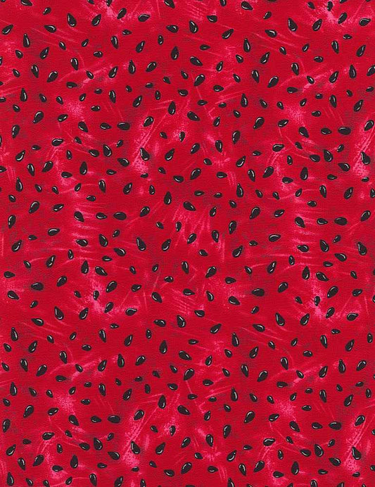 Fresh Fruit Collection Watermelon Seed Cotton Quilting Fabric by the yard