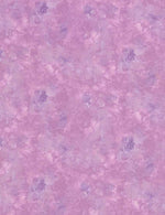 Dragonfly Mist On Key Beginner Quilt Kit