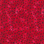 Fresh Squeezed Watermelon Quilt Kit – 72” x 72” Confident Beginner Quilt