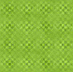 Toadally Cool Glow in the Dark Frog Beginner Quilt Kit - Puppy Love Pattern - Villa Rosa