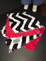 Ladybug Blanket Personalized Baby Gift, Rag quilt sensory lovey blanket