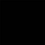 Northcott Fabric Angels on High Coordinating Blender Black 9000-99 by the yard