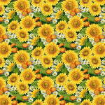 Northcott Fabric by the Yard Sunshine Harvest Tossed Pumpkins and Sunflowers on a white background Floral Cotton 25457-10
