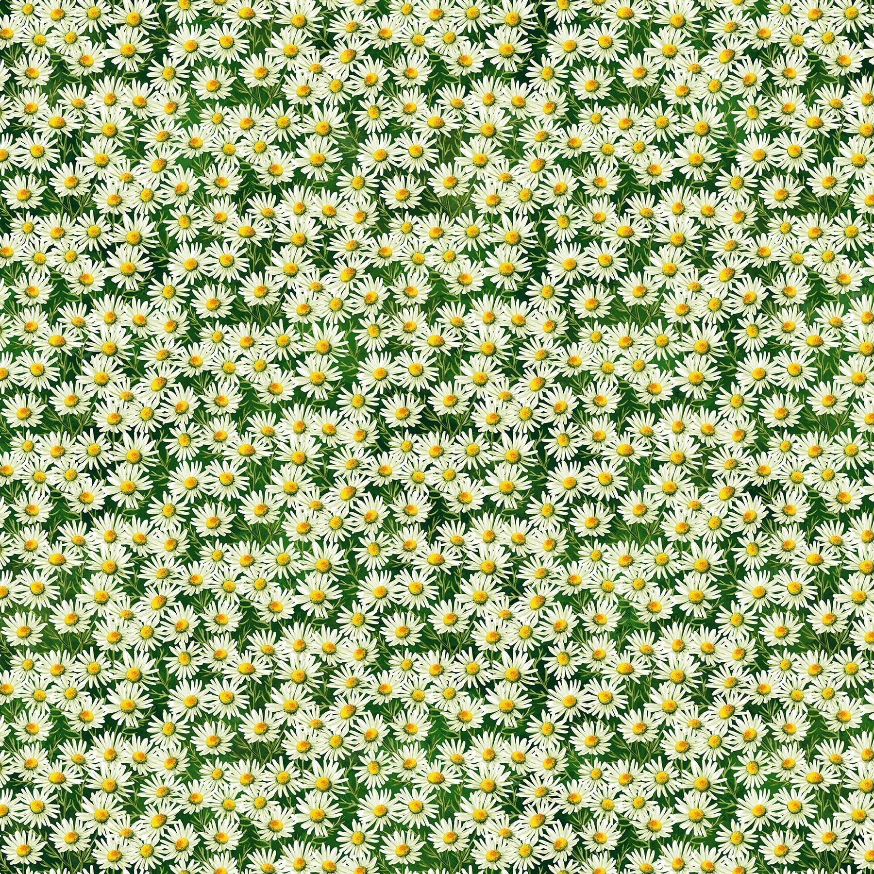 Northcott Fabric Panel Sunshine Harvest Packed Sunflower Floral Cotton 25456-78