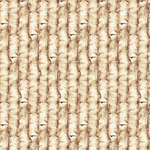 Studio E Quilt Kit Auburn Fox Fall Quilt Kit using Picture This Pattern