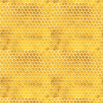 Timeless Treasures Fabric Bundle Honey Bee Farm COMPLETE 1 yard Bundle Collection (16 pieces)