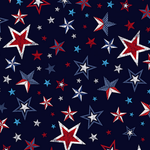 Timeless Treasures Quilt Kit Timeless Treasures Valor and More Patriotic DIY Beginner QUILT KIT with Picture This Pattern