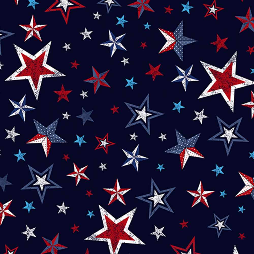 Timeless Treasures Quilt Kit Timeless Treasures Valor and More Patriotic DIY Beginner QUILT KIT with Picture This Pattern