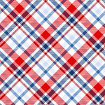 Henry Glass Quilt Kit Patriotic Gnome of the Brave Easy DIY Beginner QUILT KIT with Henry Glass Fabric