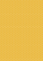 Timeless Treasures Quilt Kit Copy of Beginner Bee Hive Quilt Kit Timeless Treasures Home Is Where My Honey Is DIY Panel Quilt