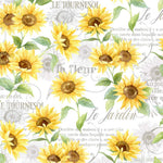 Timeless Treasures Quilt Kit Kit w/Back French Flowers You are my Sunshine Sunny Garden Pinetree Country QUILT KIT